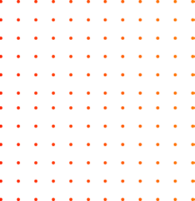 Our Digital Services