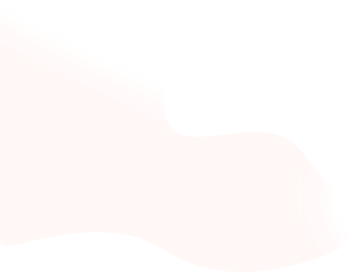 Our Digital Services